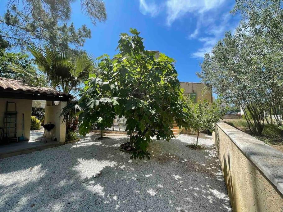 Marseillan Plage Studio Independant Екстериор снимка