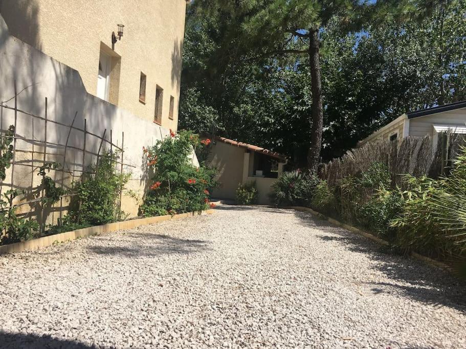 Marseillan Plage Studio Independant Екстериор снимка